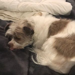 Meet your Posher, Marcy